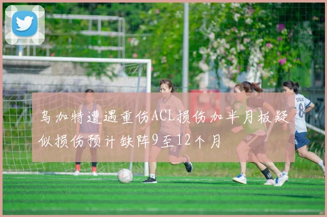 乌加特遭遇重伤ACL损伤加半月板疑似损伤预计缺阵9至12个月